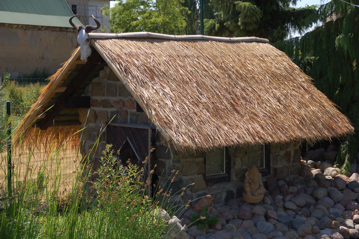 Palmendächer - Palmenschirme aus Palmenblätter