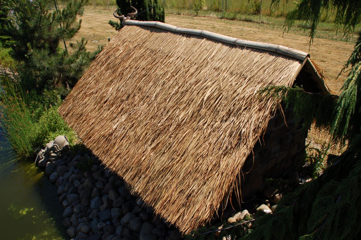 Palmendächer - Palmenschirme aus Palmenblätter