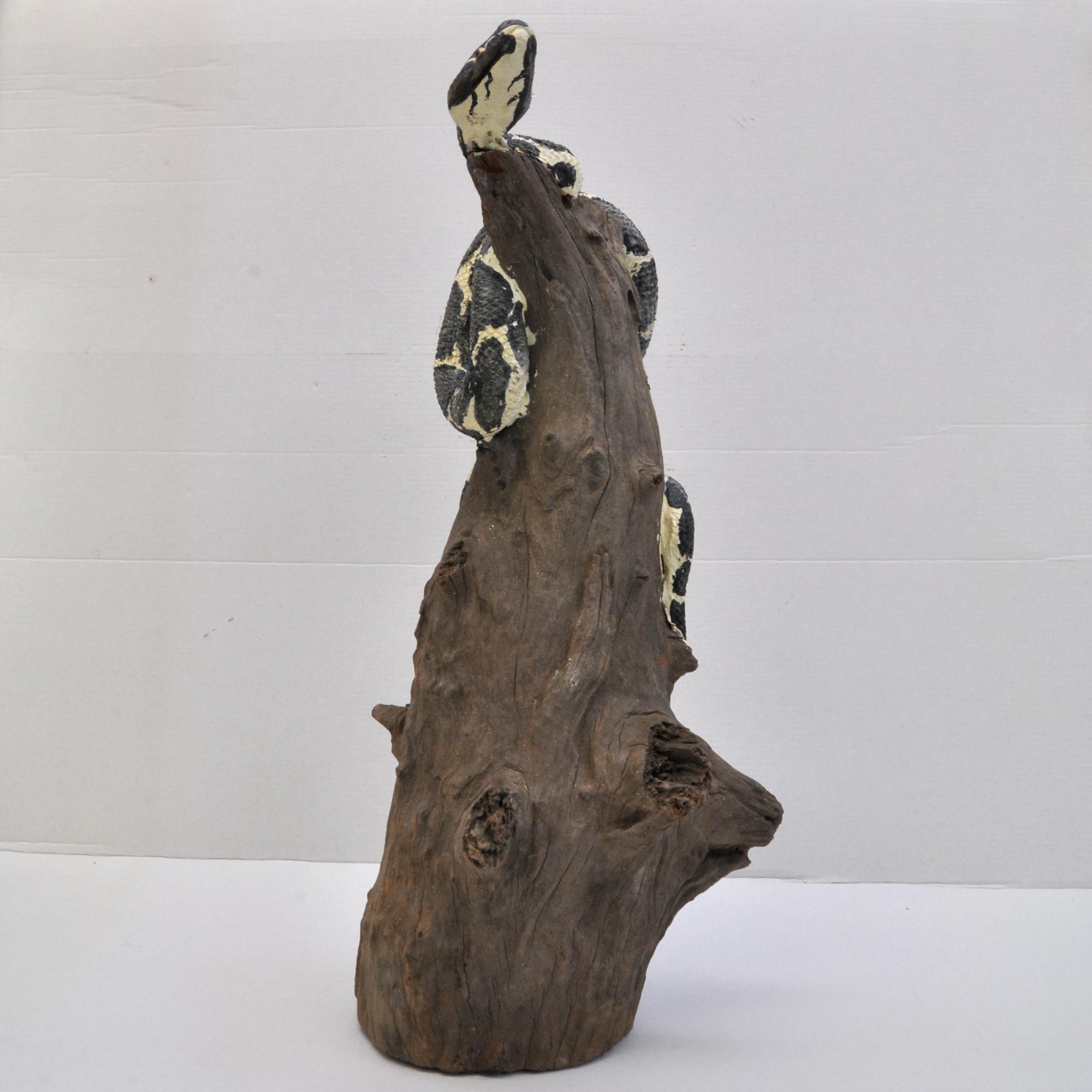 Holzschlange