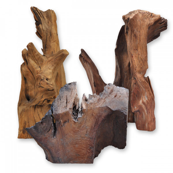 Roots, driftwood, Sizes from 30 to 120 cm For : Terrarium, Aquarium, Garden, Floriculture