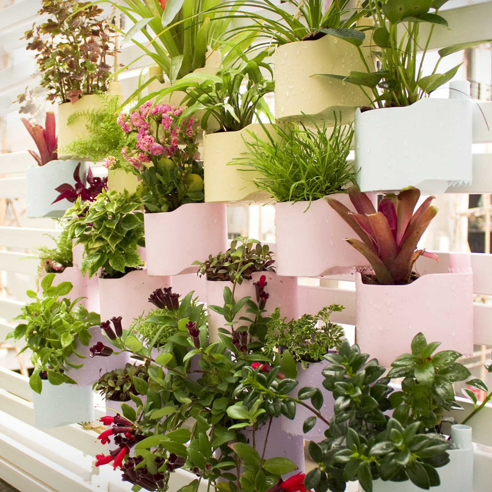Plant pots