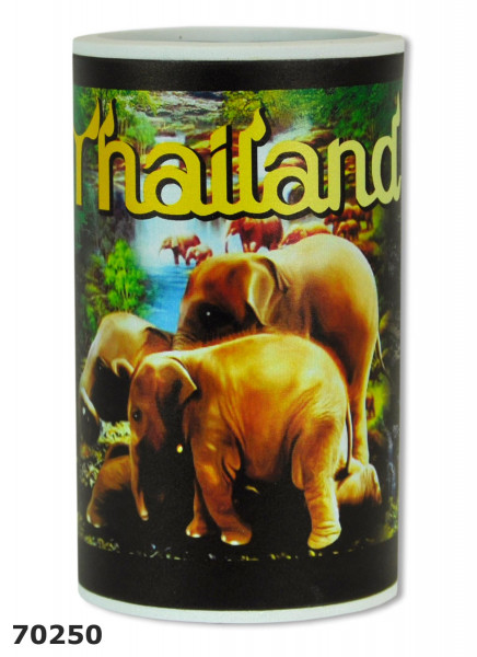 Neoprene bottle cooler with various designs / Thai beers