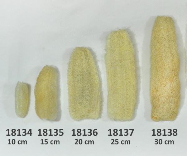 Luffa Schwamm, gebleicht