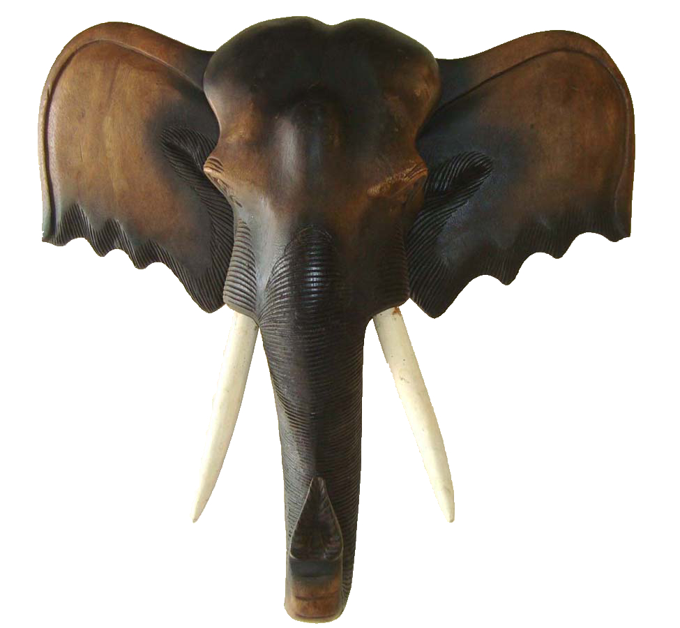 Elephant heads