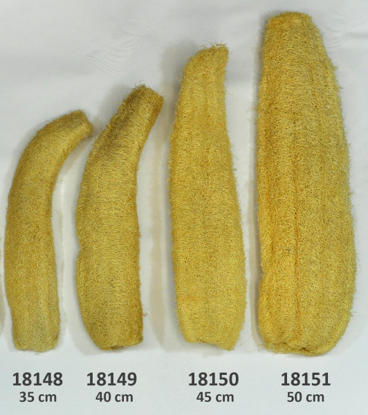 Luffa Schwamm, naturbelassen