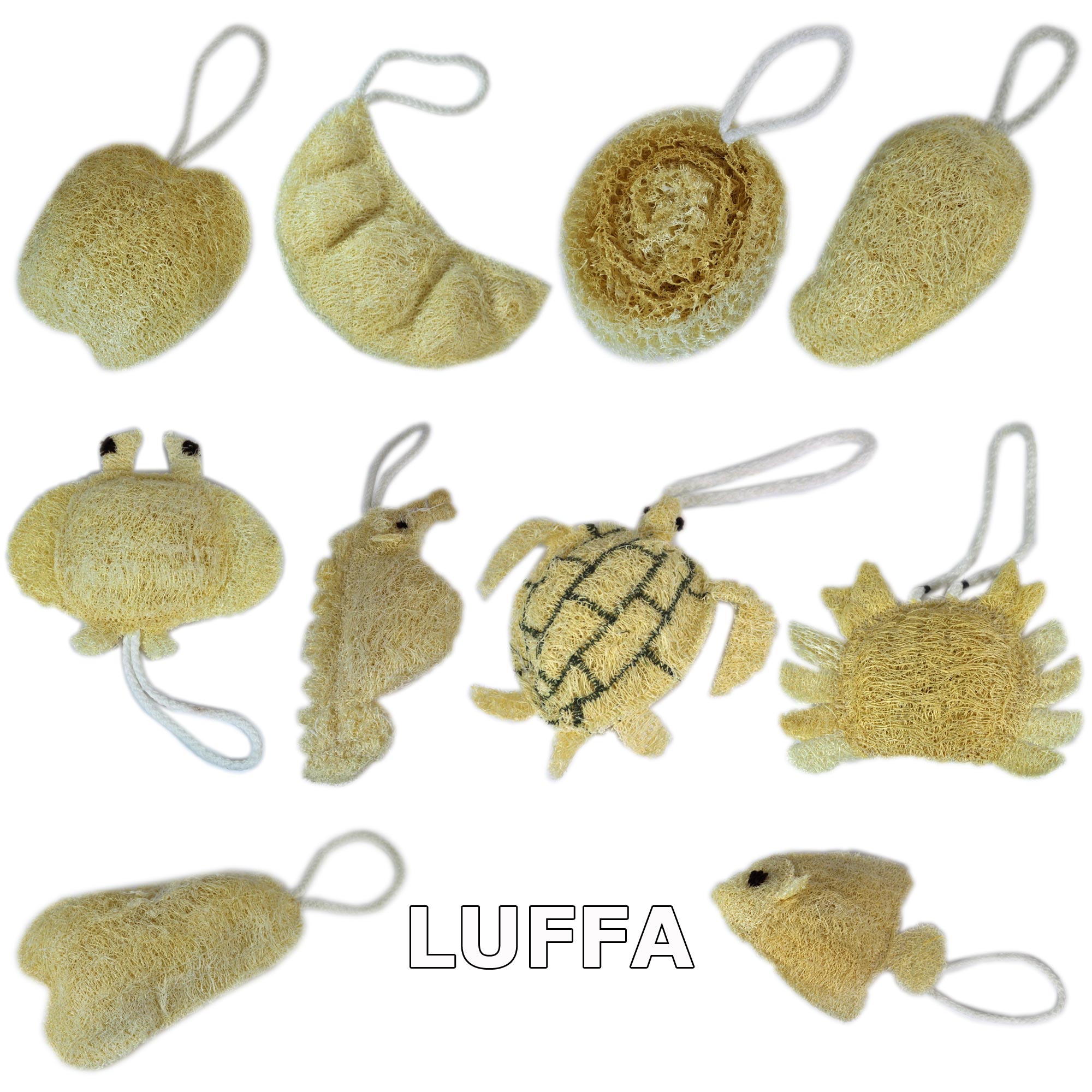 Luffa products