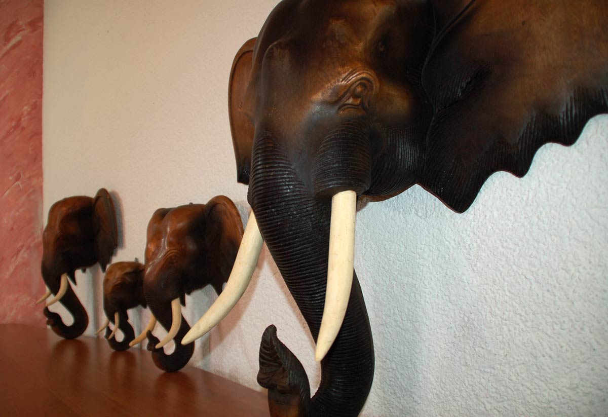 artisanal Tête d/'éléphant Asie déco murale bois massif Thaïlande 13118